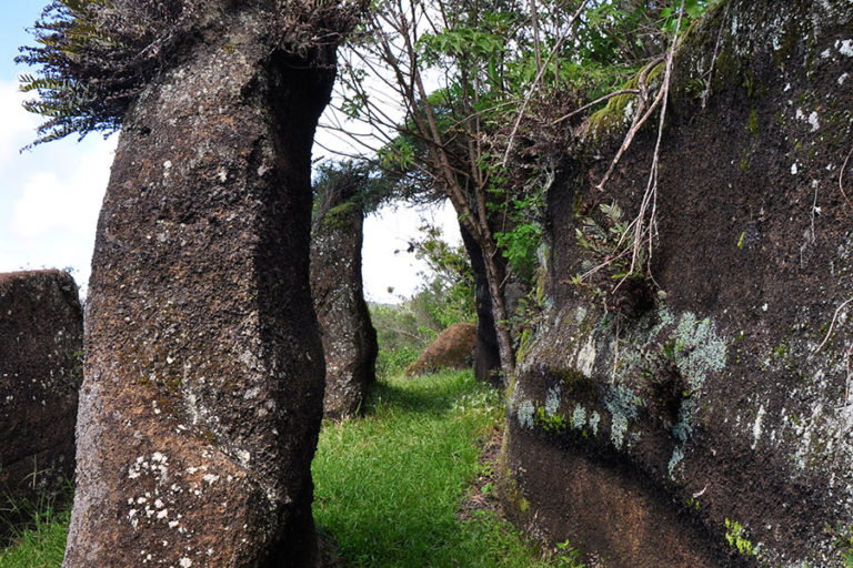 Floreana-Highlands
