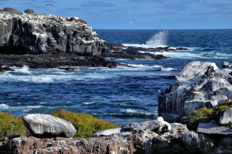 isla-española-acantilado