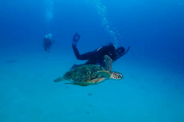 seymour-norte-diving-IMG-3